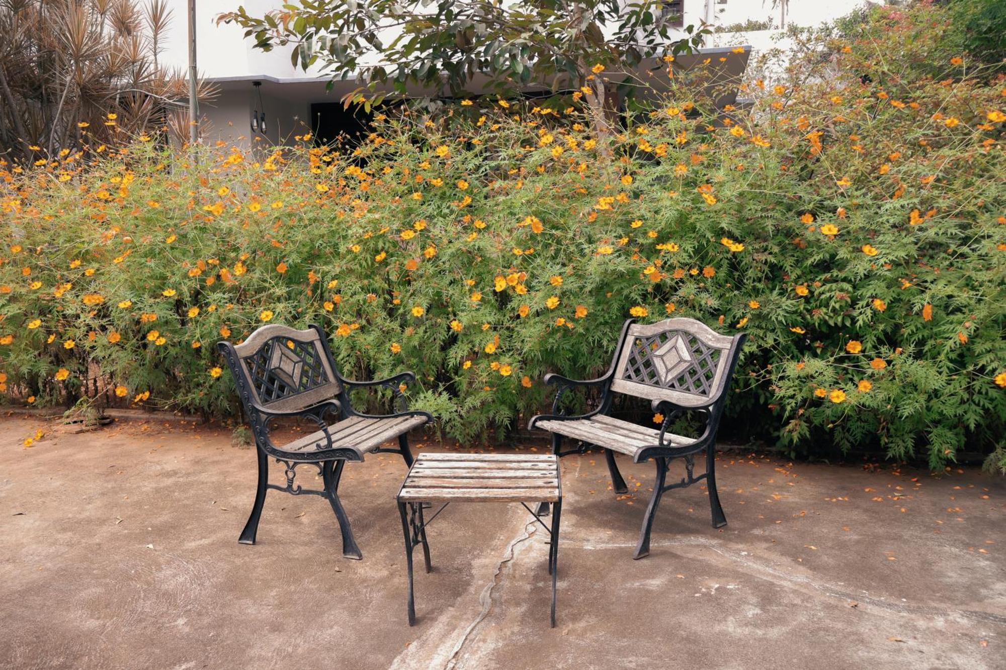 Hostel Stories Mysore Ngoại thất bức ảnh